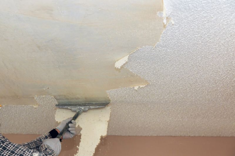Ceiling Sanding