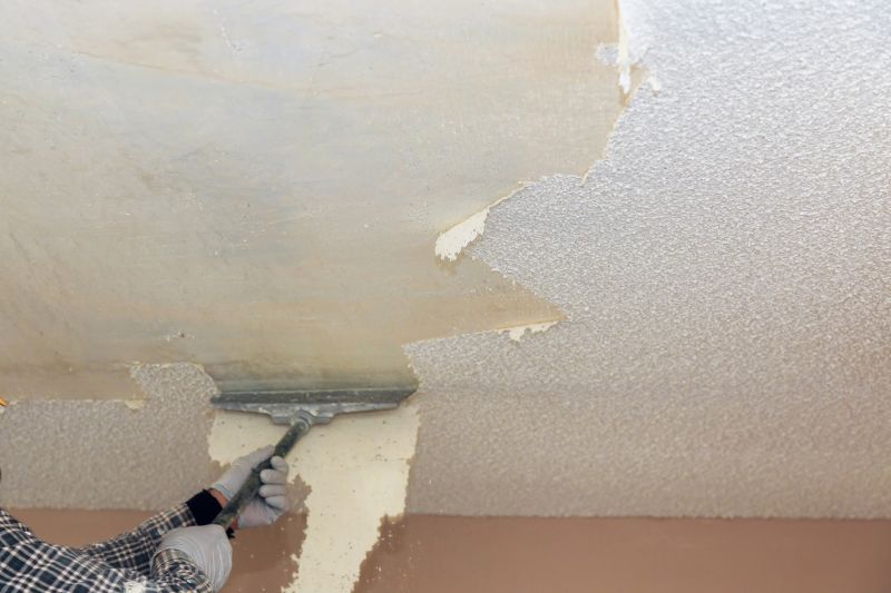 Ceiling Sanding